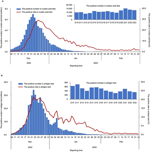 Figure 1 National situation of COVID-19 infection in China. (A) Trend in the number and positivity rate of nucleic acid tests positive cases for COVID-19 among the reported population in China. (B) Trend in the number and positivity rate of antigen tests positive cases for COVID-19 among the reported population in China.