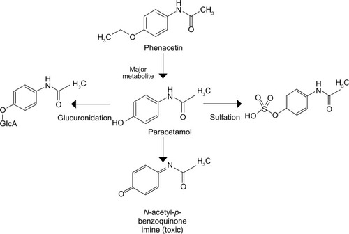 Figure 1 Metabolism of phenacetin to paracetamol and further metabolites.