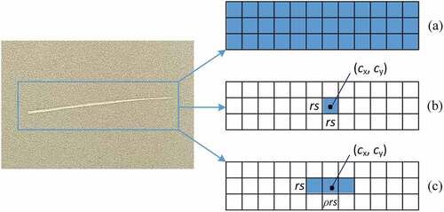 Figure 5. Schematic of center sampling and self-adaptive center sampling. (a) Original FCOS sampling. (b) Center sampling. (c) Self-adaptive center sampling.