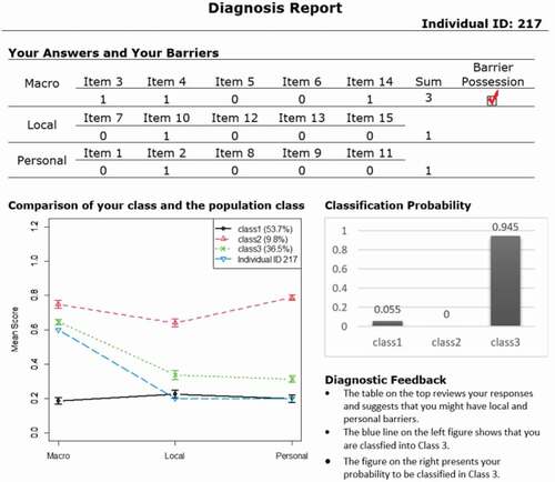 Figure 3. Sample person-centered diagnosis report for Respondent 217