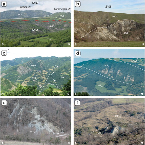 Figure 4. Panoramic views of lithologies and of their relationships in the mapped area: (a) tectonic superposition through low angle fault of the SVB above of the SVA of the Sestola-Vidiciatico tectonic unit in the area between Peglio and Pietramala; the SVB is here represented by km-sized marly limestone tectonic slice of Monte Morello Fm (MLL) embedded in a chaotic assemblage of Sillano Fm (SIL) and Val Samoggia varicolored shales (AVS), here the SVA mostly consists of Shaly poligenic breccias (BAP); (b) contact between the Shaly polygenic breccias (BAP) and a marly to shaly-arenaceous turbidites succession of Serravallian age (SER), basal portion of the SVB, west of Castelvecchio; (c) panoramic view of the VIS (VISa and VISAVS) near the Casogna Village (Santerno Valley), here unconformably covered by the Tortonian portion of the Marnoso-Arenacea Fm (MA3) and on their turn overthrusted, through the Mt. Castellaccio thrust, by the Langhian-Serravallian portion of the Marnoso Arenacea Fm (MA1); (d) overthrusting of the SVA above the VIS south of the Peglio Village, the VIS here consists of turbiditic sandstones of Serravallian age (VISb) and chaotic Sillano Fm (VISSIL); (e) Shaly marly succession topping the Visignano chaotic body (VISa) folded in a close box fold, approximately 300 m south of Castelvecchio; (f) shaly marly succession (VISa) showing soft-sediment deformation and embedded in a chaotic assemblage of Sillano Fm fragments (VISSIL) within the of the VIS, 1,5 km east of the Visignano Village.