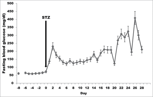 Figure 1. Fasting blood glucose (mean+standard error) during the first month after streptozotocin (STZ) administration in cynomolgus monkeys (n = 14).