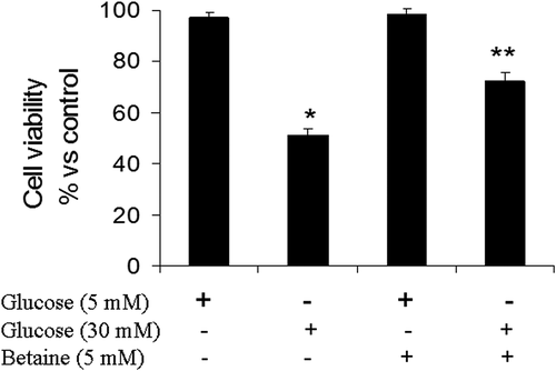 Figure 1. Cell viability (MTT assay) of mice granulosa cells treated with betaine for 24 h. Granulosa cells from immature mice were cultured for 24 h in a medium containing 5 mM betaine in the presence of 5 mM or 30 mM glucose. The results are normalized with the untreated cells cultured in the presence of basal glucose concentration. Different number of asterisks demonstrate significant difference at p < 0.05