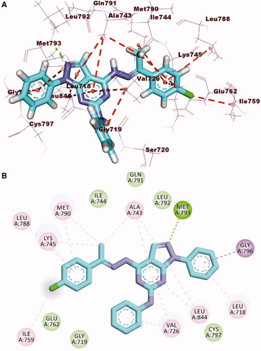 Figure 13. (A) 3 D interaction of compound 12 b docked into the active site of EGFRT790M. The hydrogen bonds were represented in green dashed lines. The pi interactions were represented in orange lines. (B) 2 D interaction of compound 12 b docked into the active site of EGFRT790M.