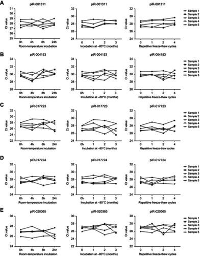 Figure S2 Stability of serum piRNA expressions. Serum levels of piR-001311 (A), piR-004153 (B), piR-017723 (C), piR-017724 (D) and piR-020365 (E) remained stable when treated with prolonged incubation at room-temperature, repetitive freeze-thaw cycles, or prolonged incubation at –80℃.Abbreviation: piRNA, Piwi-interacting RNA.