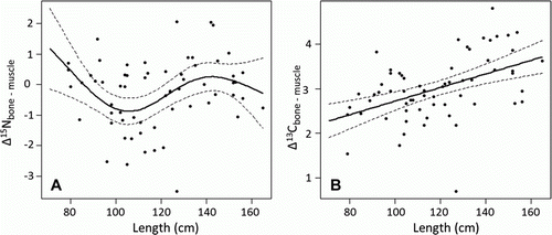 Figure 5.  Porpoise (Phocoena phocoena) isotopic composition, effect of length on Δδ15Nbone–muscle (A) and Δδ13Cbone–muscle (B). Solid line presents the mean model estimate and the dotted lines the 95% confidence intervals.