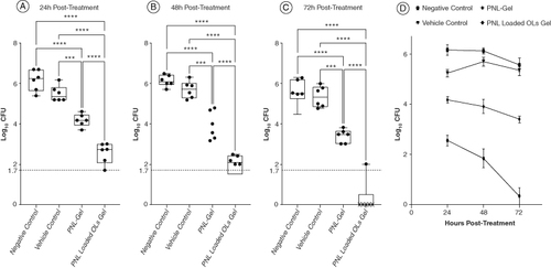 Figure 5. Efficacy of propranolol hydrochloride-loaded oleosomes gel in an in vivo murine model of fungal vaginal infection. 24 Wistar rats were divided into four groups (n = 6). One group served as the negative control group and did not receive any treatment. The second group was treated with the empty gel to serve as the vehicle control. The two other groups were treated with either drug gel or nanogel. Each data point in the figure represents a rat. Results are expressed as box plots of fungal loads recovered from the vaginal lumen at 24 h (A), 48 h (B), and 72 h (C) post-treatment. The whiskers span the difference between the minimum and maximum readings and the horizontal bar represents the median. The horizontal line represents the limit of detection of fungal loads. **, ***, and **** indicate that the difference is significant at p < 0.01, <0.001, and <0.0001, respectively (one-way ANOVA, Tukey's post-hoc test). X means no colonies were detected in the sample.OL: Oleosome; PNL: Propranolol hydrochloride.