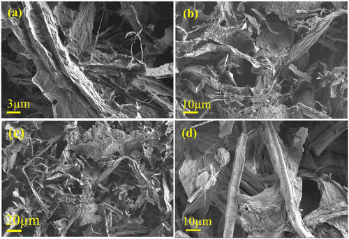 Figure 4. SEM images of the surface of cellulosic material obtained from R. pseudoacacia crosslinked with citric acid (a) 3000 ×, (b) 1000 ×, (c) 500 ×, and SEM images of the native cellulose (d) 1000 ×.