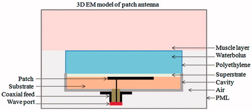 Figure 1. A 3D numerical model of the probe-fed cavity-backed resonant patch antenna studied in EM simulation software, HFSS®.