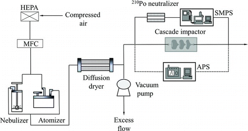 FIG. 2 Schematic diagram of the experimental setup. (Color figure available online.)