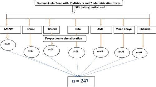 Figure 1 Schematic presentation of the sampling technique of female secondary school teachers who participated in the study, Gammo Gofa Zone, South Ethiopia.