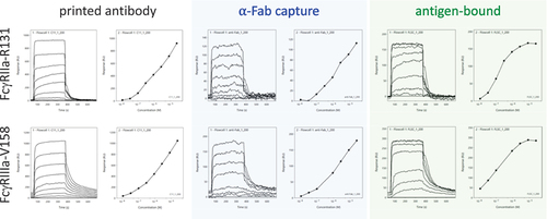 Figure 1. Antibody-FcγR association and dissociation profiles by SPR across assay configurations.