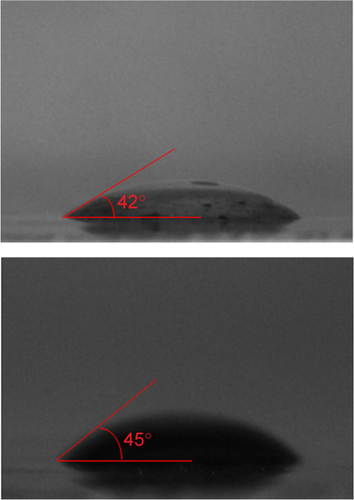 Figure S4 Trypsin contact angle measurements with water (left, 45º) and DIIO (right, 42º).Abbreviation: DIIO, diiodomethane.