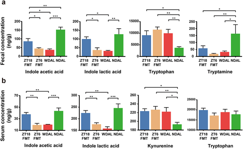 Figure 8. WDTRF feeding phase-derived microbiota rejuvenated microbial production of tryptophan derivatives. (a) Fecal concentrations of tryptophan derivatives (indole acetic acid, indole lactic acid, tryptophan and tryptamine). (b) Serum concentrations of tryptophan derivatives (indole acetic acid, indole lactic acid, kynurenine and tryptophan). n = 8 in each group. The data are presented as the mean ± SEM. *p < 0.05; **p < 0.01, ***p < 0.001 for the comparison.