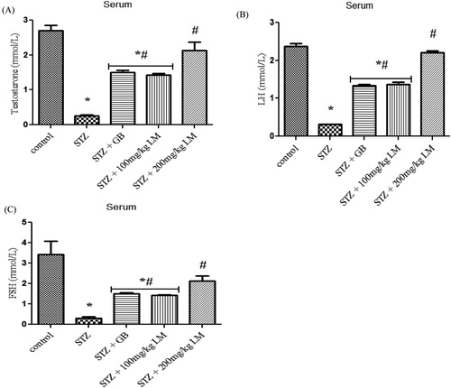 Figure 5. Effects of L. micranthus on levels of endocrine hormones in control and STZ-induced diabetic rats. Each bar represents mean ± SEM of eight rats. *p < 0.05 compared to control. #p < 0.05 compared to diabetic control group. STZ, 60 mg streptozotocin; STZ + GB, 60 mg STZ + 5 mg Glibenclamide; STZ + 100 mg, 60 mg STZ + 100 mg LM extract; STZ + 200 mg, 60 mg STZ + 200 mg LM extract.