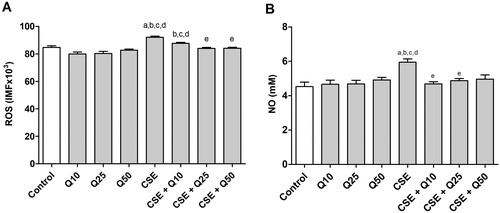 Figure 2. Effect of cigarette smoke extract and quercetin on ROS and NO production in J774A.1 cell. (A) Quantitative analysis of ROS production in J774 cells administered with Quercetin (10, 25 and 50 μM) and/or CSE (0.5%). (B) NO production measured as nitrite content J774 cells administered with Quercetin (10, 25 and 50 μM) and/or CSE (0.5%). Data are expressed as mean ± standard error of the mean and were analyzed by one-way ANOVA followed by Tukey’s post-test (n = 5-8, p < 0.05). The letter (a) represents a significant difference when compared to control. The letter (b) represents a significant difference when compared to Q10. The letter (c) represents a significant difference when compared to Q25. The letter (d) represents a significant difference when compared to Q50. The letter (e) represents a significant difference when compared to CSE.