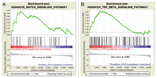 Figure 7 Gen Set Enrichment Analysis (GSEA) shows enrichment of the Notch and TGFβ pathways in SCH727965-resistant xenografts. Top, the primary result of the gene set enrichment analysis is the enrichment score (ES). GSEA calculates the ES by walking down the ranked-ordered list of genes, increasing a running-sum statistic when a gene is in the gene set and decreasing it when it is not. Middle, rank ordered list of genes (horizontal line in red and blue color). The top of this list (red color) contains genes upregulated in resistant cases. The bottom of the list (blue color) contains downregulated genes in sensitive cases. Anytime a gene from the gene set is found along the list, a vertical black bar is plotted (hit). If most of the hits are at the top of the list, then this gene set is enriched in resistant cases, if they are found at the bottom of the list then they are enriched in sensitive cases; if, however, they are distributed homogenously across the rank ordered list of genes, then that gene set is not enriched in any of the gene expression profiles (resistant vs. sensitive). These figures show enrichment of the TGFβ and Notch pathways in resistant cases. Bottom, value of the ranking metric along the list of the ranked genes.