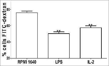 Figure 4. Phagocytosis study.