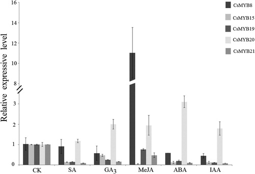 Figure 9. Relative expression level of the five CsMYB genes under hormonal treatment.