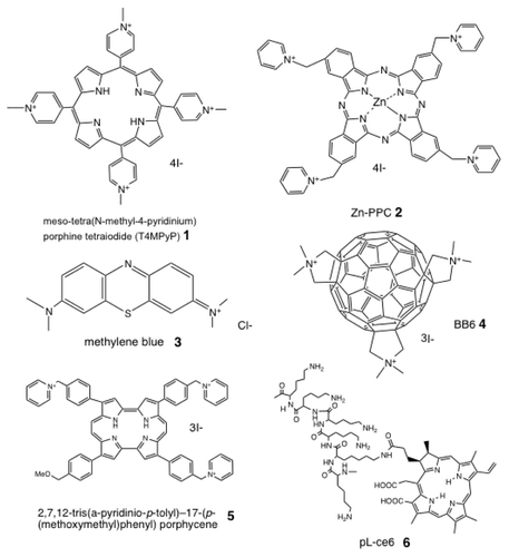 Figure 2 Chemical structures of some representative antimicrobial PS. (1) Cationic porphyrin, meso-tetra(N-methyl-4-pyridinium) porphine tetraiodide (T4MPyP); (2) cationic phthalocyanine, ZnPPC; (3) phenothiazinium salt, methylene blue; (4) cationic functionalized fullerene, BB6; (5) cationic porphycene, 2,7,12-tris(a-pyridinio-p-tolyl)-17-(p-(methoxymethyl)phenyl) porphycene; (6) poly-l-lysine chlorin(e6) conjugate, pL-ce6.
