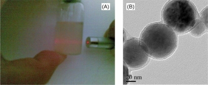 Figure 3 Preliminary determination of the nanocapsules. A) Tyndall phenomenon and B) TEM photographs.