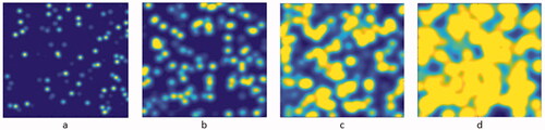Figure 5. 2D median section through the 3D volume of simulation used to create a data point for the simulation results in Figure 7, with 250 nm resolution and 0.04% v:v droplets. Shown FOV is 250 µm. The interaction radius increases at (a) 7.5 µm, (b) 12.5 µm, (c) 17.5 µm, and (d) 22.5 µm, respectively. Nonlinear threshold-based 3D summation of overlapping probabilities was applied, see Figure 3(C). Note the saturating effect from adjacent droplets in particular for larger interaction radii.