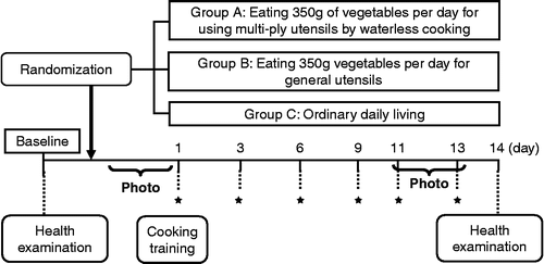 Figure 1.  Design of the study. An initial screening visit was conducted 2 weeks prior to enrolment and randomization for 3 groups. Blood samples were collected before and after the periods of vegetable intake. Photo: Photos of all diets taken for 3 days; ★: vegetable delivery.