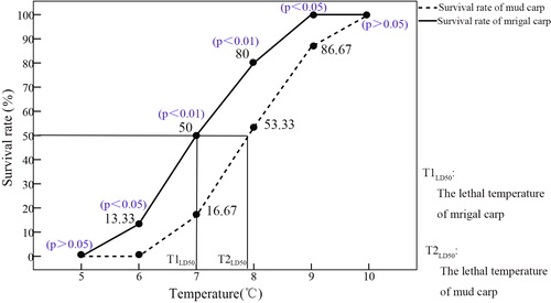 Figure 4. Temperature tolerances of mrigal and mud carp.