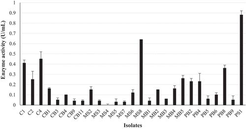 Figure 1. Quantification of β-glucosidase activity for the 27 fungal isolates with the largest precipitate zones from qualitative screening in the crude enzyme extracts produced at 30 °C, 125 r/min and 4-nitrophenyl-β-D-glucopyranoside as a substrate at OD410 nm,(Mean ± SD, N = 4).