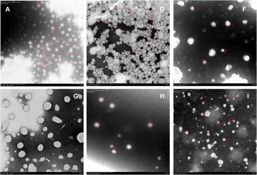 Figure 2 Electron microscopy of nanoemulsions (Each nanoemulsion sample was diluted with an appropriate amount of PBS, added with glycerin and ultrasonically dispersed, added to a copper mesh to be dried, and stained with phosphotungstate). Magnification: (A×12,000; D×15,000; F×12,000; G×12,000; H×8000; I×25,000).
