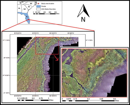 Figure 1. Eagle Bay study area.