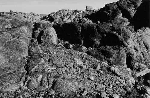 FIGURE 3.  Iron-rich, yellowish stones totally without lichens and (upper right) dark red, rounded, limonite-coated siliceous rocks, the typical habitat for the Xanthoria elegans–Umbilicaria virginis community. West of Hiawatha Gletscher