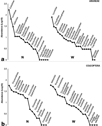 Figure 4. Range / abundance curves of families Araneae (a) and Coleoptera (b) collected in continuous native forest (N) and native forest windbreak (W) habitats in northwestern Argentina.