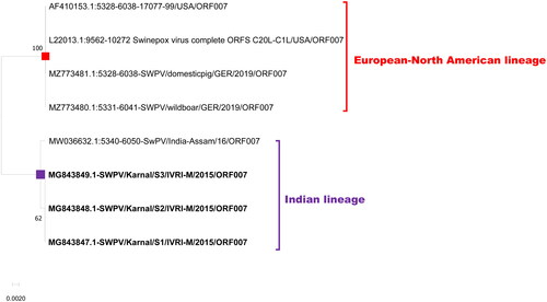 Figure 6. Evolutionary relationships of ORF 007 of Indian SWPV with the USA, and Germany SWPV isolates. The isolates of the current study are shown in bold letters.