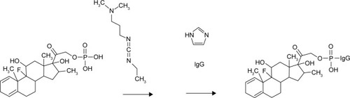 Figure 1 Organic chemistry reaction scheme for the synthesis of dexamethasone-(C21-phosphoramide)-[anti-EGFR].