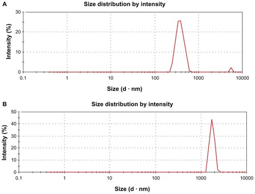 Figure 4 (A and B) Dynamic light-scattering (DLS) spectra of GO and rGO dispersions. At least 200 particles were measured for each sample to obtain the size distribution. The GO (A) and rGO (B) sizes were measured by a Zetasizer Nano ZS90 with a scattering angle θ = 90°.Notes: The standard spherical particle models were used in DLS. DLS results provide a quick indication of their different solubility.Abbreviations: GO, graphene oxide; rGO, reduced graphene oxide.