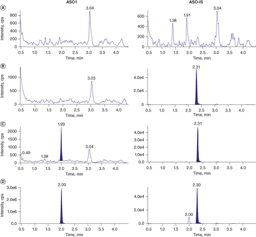 Figure 4. LC-MS/MS chromatograms of ASO1 and the IS, ASO-IS from (A) double blank, (B) blank spiked with ASO-IS only, (C) LLOQ and (D) ULOQ in mouse liver and gastrocnemius combine homogenate.IS: Internal standard; LLOQ: Lower limit of quantitation; ULOQ: Upper limit of quantitation.