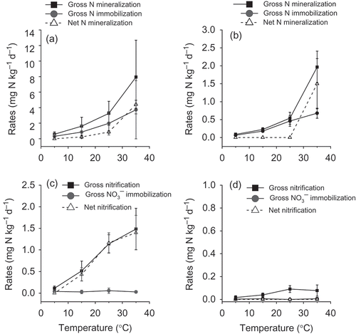 Figure 1 Effects of incubation temperature on ammonium (NH4 +) transformation rates [gross and net nitrogen (N) mineralization, and gross N immobilization] in the (a) broad-leaved forest and (b) coniferous forest soils, and nitrate (NO3 –) transformation rates (gross and net nitrification, and gross NO3 – immobilization) in the (c) broad-leaved forest and (d) coniferous forest soils. Vertical bars indicate standard deviations (n = 3).