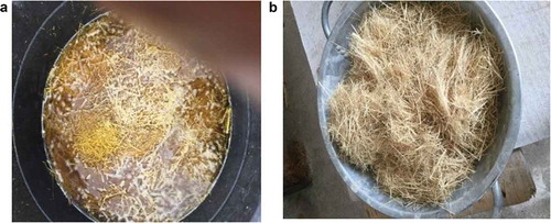 Figure 4. (a) Treatment for bamboo fiber in NaOH solution; (b) Bamboo fiber ready for use