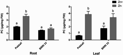 Figure 2. HPLC analysis of total PC in roots and leaves of Pokkali and BRRI 33 grown under Zn-sufficient and Zn-deficient conditions. Different letters indicate significant differences between means ± SD of treatments (n = 3).