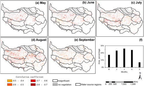 Figure 7. Maximum negative correlation coefficient between monthly NDVI from (a) May to (e) September and five snow cover durations (September–November, December–February, March–May, December–May, and September–May). The histogram in (f) shows the percentage of vegetated areas with significant negative correlations between snow cover duration and NDVI (p < 0.1) for each month from May to September.