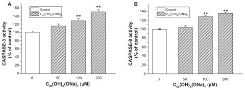 Figure 6 Effect of C60(OH)x(ONa)y on caspase content of cultured hippocampal neurons. Hippocampal neurons were treated with fullerenol 0, 50, 100, and 200 μM for 24 hours. (A) Caspase-3 activity was detected using a protein assay kit. (B) Caspase-9 activity was detected.Notes: The results are the mean ± standard error (n = 8) of a representative experiment that was repeated at least three times. **P < 0.01 versus control group. One-way analysis of variance with Bonferroni post hoc tests.