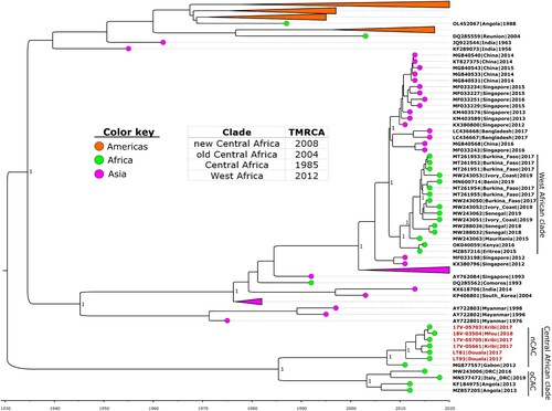 Figure 1. Time-calibrated phylogeny of a subset of the global dengue 1 virus genomes alongside the Cameroon 2017–2018 outbreak strains (in red text). Coloured circles indicate geographic origins. Dates of the most recent common ancestor (TMRCA) for major clades are provided in the table inset. Posterior probabilities are shown at major nodes. Taxon labels include GenBank accession number, country, and year of isolation for reference sequences, while new sequences are labelled with strain names. nCAC: new Central African clade; oCAC: old Central African clade.