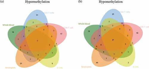 Figure 2. Venn diagram showing differentially methylated CpG sites across different cell lineages.