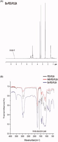 Figure 1. Structure identification of Bo–PEG–PLGA (A)1H NMR spectrum in DMSO and (B) FTIR spectrum.