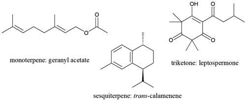 Figure 1. Examples of key classes of mānuka leaf volatiles.