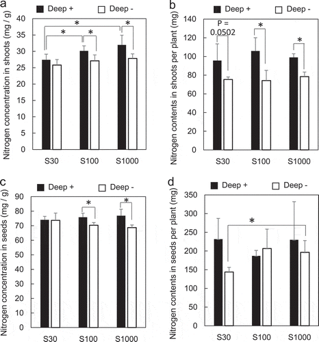 Figure 3. Effects of S supply and deep placement of coated urea on N concentrations and content in shoots of soybean at developing stage and in seeds at harvest stage. N concentration in shoots (a) and N content in shoots per plant (b) were determined 40 days after sowing, and N concentration in mature dry seeds (c) and N content in mature dry seeds per plant (d) were determined at the harvest stage. Means ± standard deviations of four biological replicates are shown. Asterisks indicate significant differences using a Student’s t-test (P < 0.05)