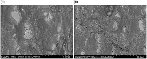 Figure 14. Micrographs of the fracture surfaces for heat treated samples observed by SEM in back-scattered electron mode after monotonic tensile tests: (a) PW-T8 and (b) PSPW-T8.