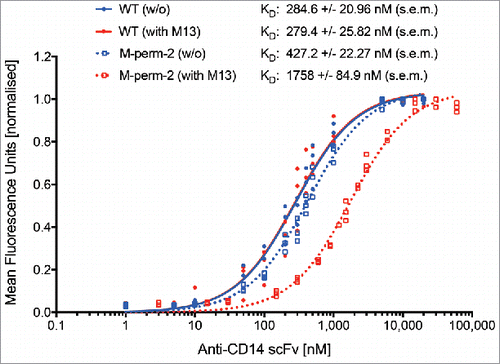 Figure 9. Determination of dissociation constants (KD) by equilibrium binding titration. Equilibrium binding constants (KD) for anti-CD14 scFv-WT and anti-CD14 scFv M-perm-2 were determined by staining of PBMC at 24°C with titers in the range of 1 nM to 60 µM, without (blue) and with (red) M13 peptide. Shown is the normalized mean fluorescence gained at the corresponding concentration of 3 titrations (n = 3) of independent experiments. Living-FITC-positive cells were taken into account. KD was determined with a nonlinear regression model using GraphPad Prism 7.