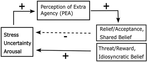 Figure 4. A model of how stress, uncertainty, or arousal can lead to increased perception of extra agency (PEA) that in turn impacts emotional states and beliefs that either downregulate (dotted line) or upregulate (solid line) subsequent stress responses and PEA. Note that this process could also start with PEA or belief updating due to other factors (e.g., participation in spiritual or religious activities).